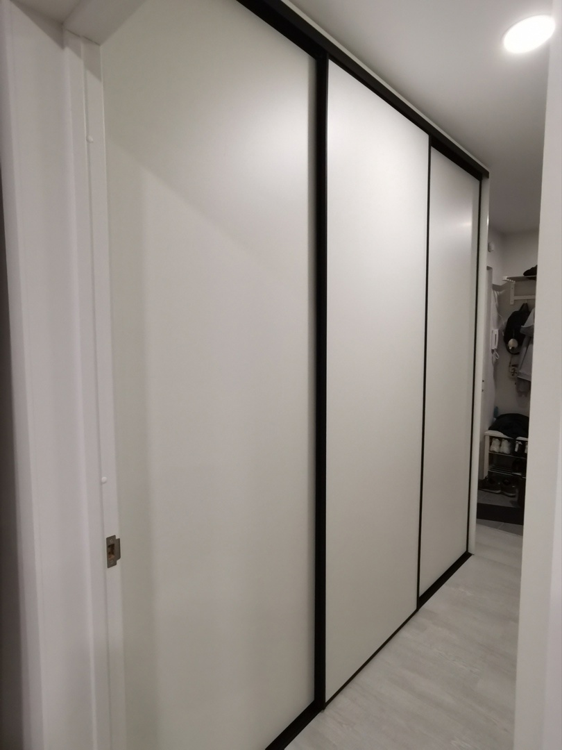 Шкаф-купе с черным профилем